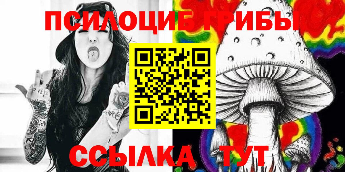 Псилоцибиновые грибы Psilocybe Екатеринбург